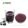 dehydratedfreeze dried blueberry powder